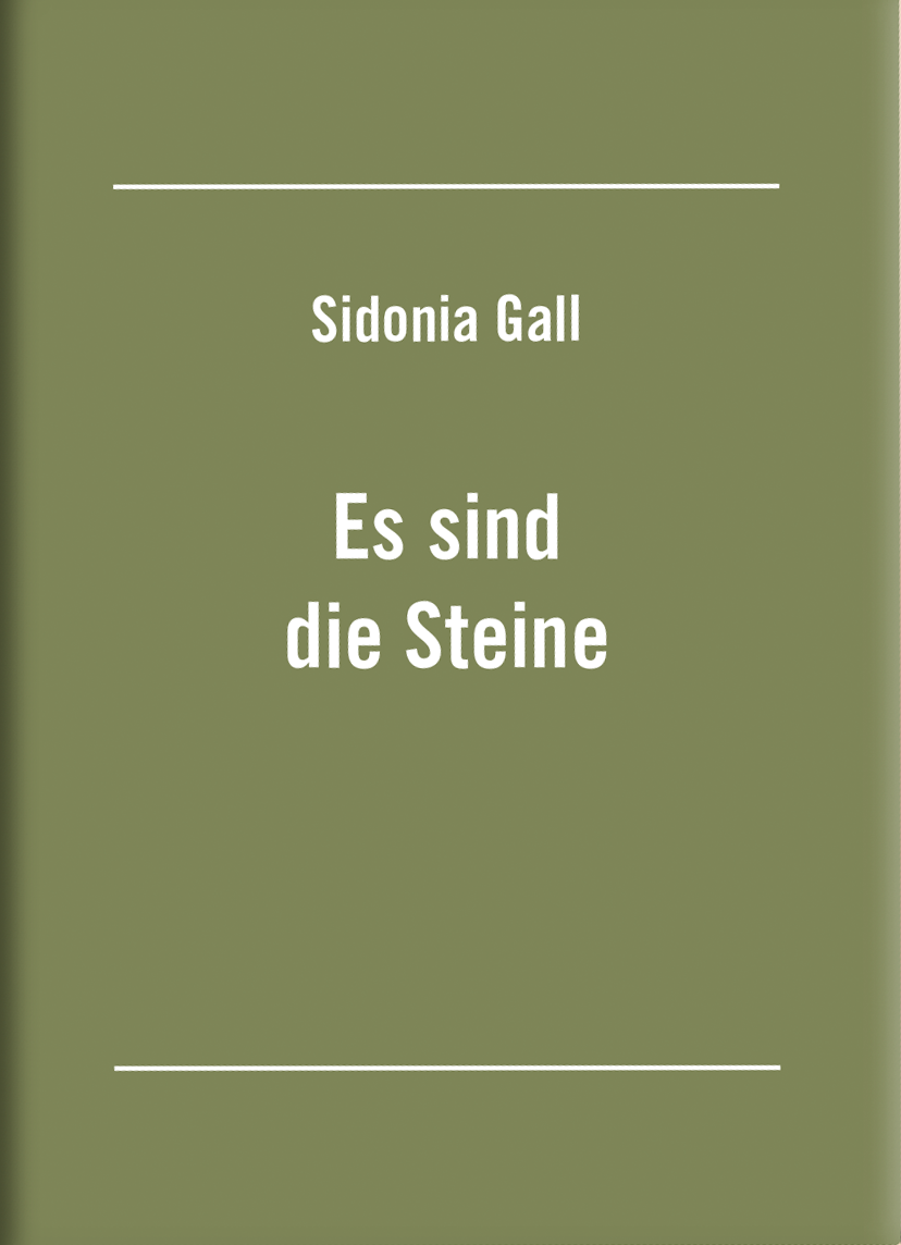 cover_es-sind-die-steine